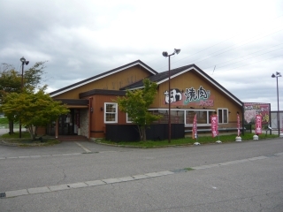 431051141